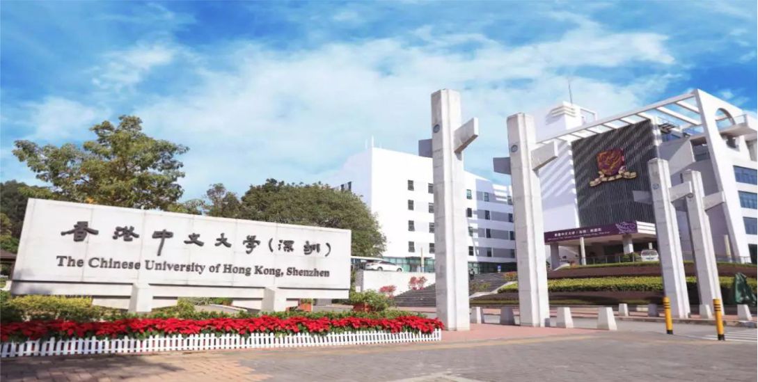 主标题